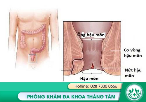 Nứt kẽ hậu môn gây đi ngoài ra máu